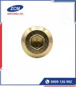 Vít Bắt Gỗ Lục Giác Chìm - Hex Socket Tap Screws (3)_31