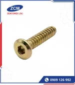 Vít Bắt Gỗ Lục Giác Chìm - Hex Socket Tap Screws_32